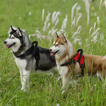 Adjustable Dog Harness