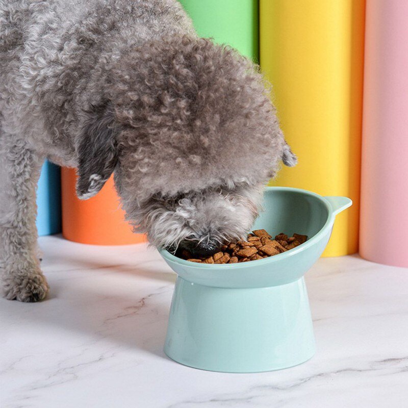 Dog Food Bowls