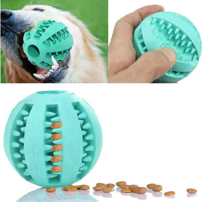 Dog Chew Toys