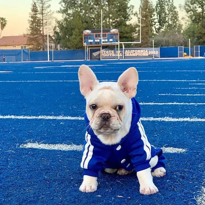 Small Medium Puppy Outfits