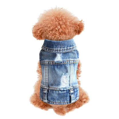 Small Dogs Jean Jacket