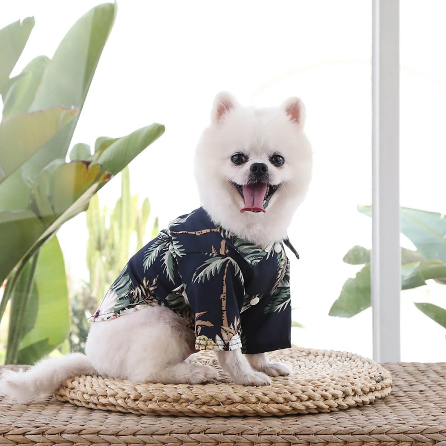 Hawaii Style Floral Dog Shirt