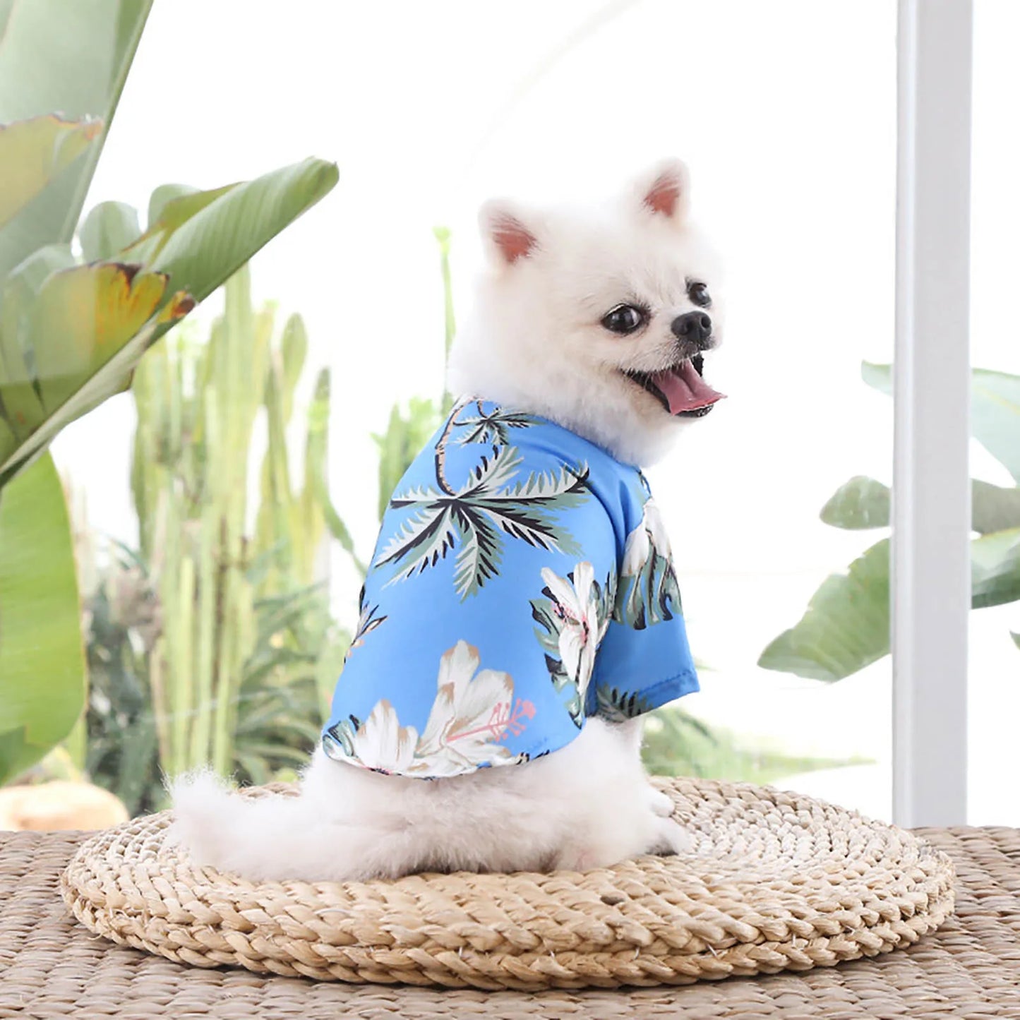 Hawaii Style Floral Dog Shirt