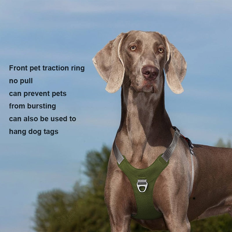 Dog Harness Vest