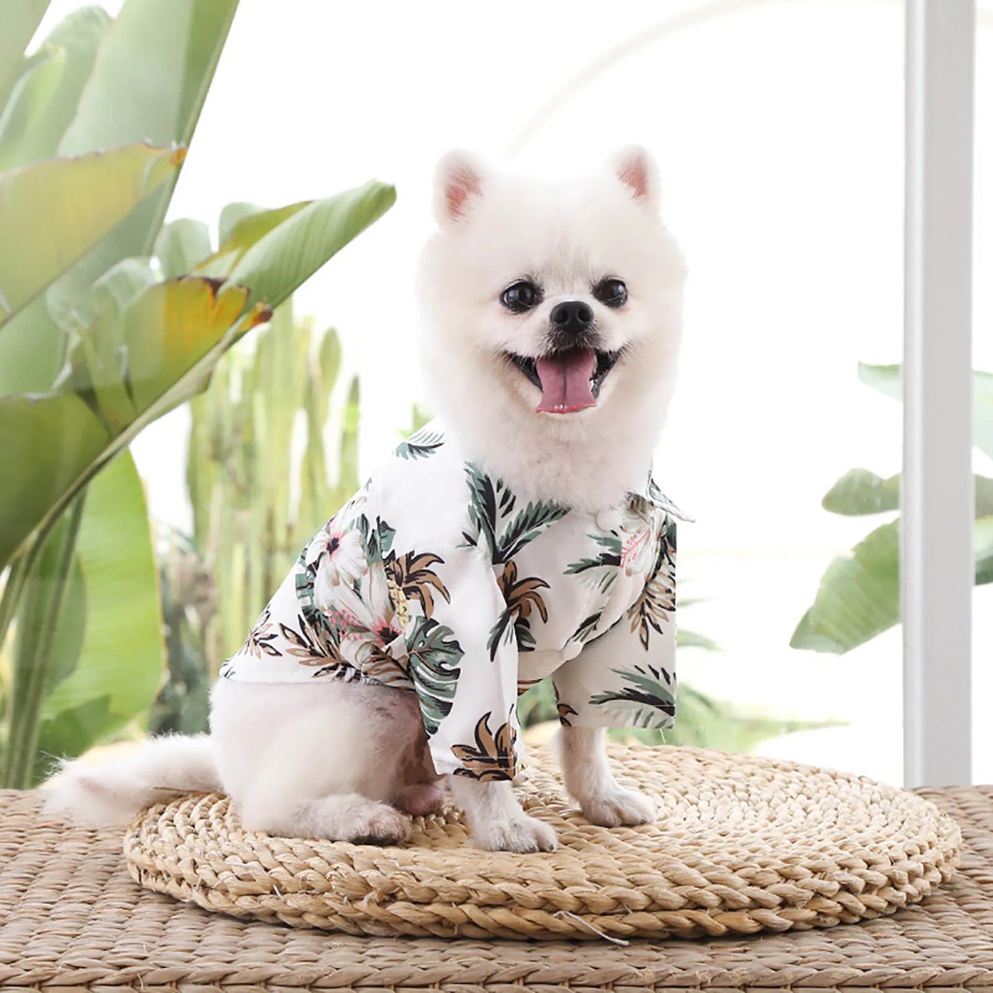 Hawaii Style Floral Dog Shirt