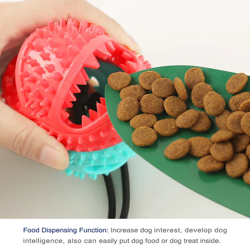 Suction Cup Treat Toy